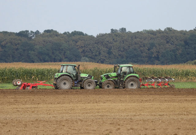 Land Preparation